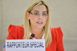   
Special Rapporteur G. Knaul
